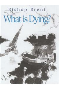 What is Dying?