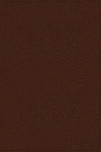 NIV, Thompson Chain-Reference Bible, Genuine Leather, Buffalo, Brown, Red Letter, Thumb Indexed, Art Gilded Edges, Comfort Print