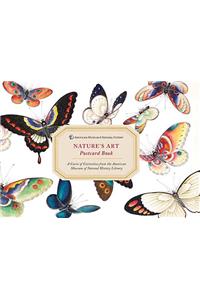 Amnh Nature's Art Postcard Book