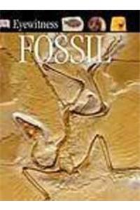 Eyewitness Fossil