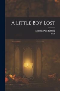 A Little boy Lost