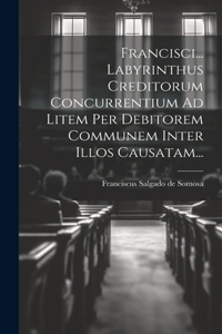 Francisci... Labyrinthus Creditorum Concurrentium Ad Litem Per Debitorem Communem Inter Illos Causatam...