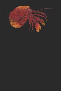 Hermit Crab