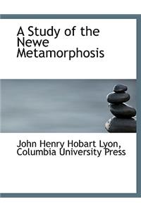 A Study of the Newe Metamorphosis