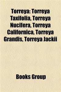 Torreya