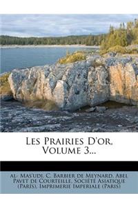 Les Prairies D'or, Volume 3...