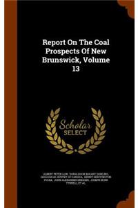 Report on the Coal Prospects of New Brunswick, Volume 13