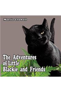 The Adventures of Little Blackie and Friends