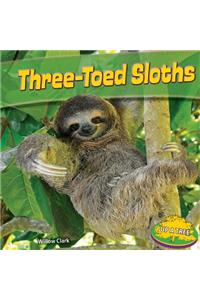 Three-Toed Sloths