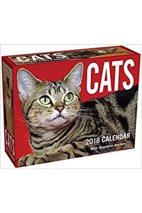 Cats 2018 Mini Day-to-Day Calendar