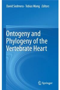 Ontogeny and Phylogeny of the Vertebrate Heart