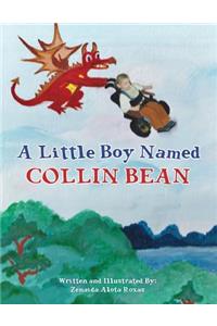 A Little Boy Named Collin Bean