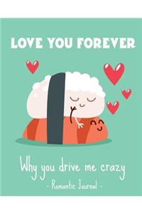 Love you forever. Why you drive me crazy.Romantic Journal couples.Valentines day