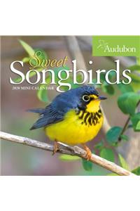 Audubon Sweet Songbirds Mini Wall Calendar 2020