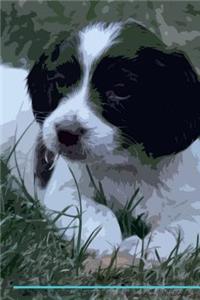 English Springer Spaniel Affirmations Workbook English Springer Spaniel Presents: Positive and Loving Affirmations Workbook. Includes: Mentoring Questions, Guidance, Supporting You.