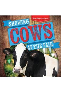 Showing Cows at the Fair