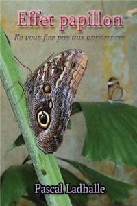 Effet Papillon