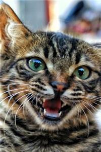 Cats Meow Journal