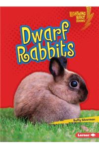 Dwarf Rabbits