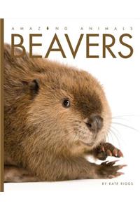 Amazing Animals Beavers