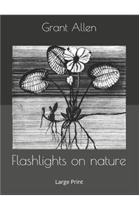 Flashlights on nature