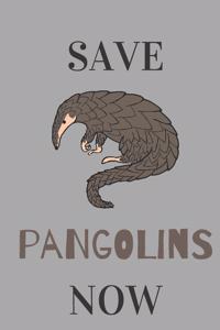 Save Pangolins Now