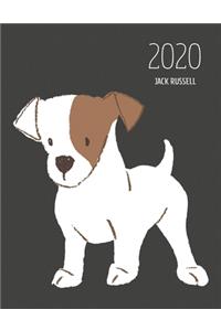 2020 Jack Russell
