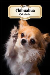 2020 Chihuahua Calendario