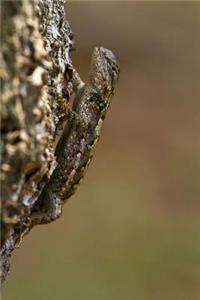 Eastern Fence Lizard Journal: 150 page lined notebook/diary