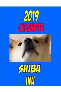 2019 Calendar Shiba Inu