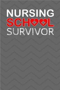 Nursing School Survivor