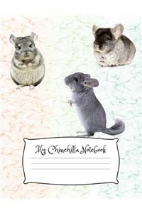 My Chinchilla Notebook
