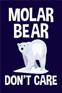 Molar Bear Don't Care