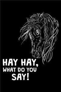 Hay Hay, What Do You Say!