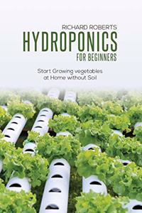 Hydroponics for Beginners: Start Growing Vegetables at Home Without Soil