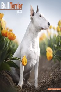 Bull Terrier 2023 Wall Calendar