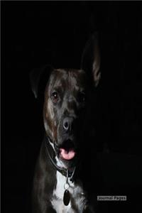 Journal Pages - Midnight Dog (Journal Notebook) (Unruled)