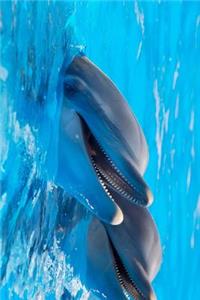 A Pair of Happy Dolphins Journal