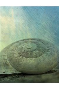 Sea Shell Notebook