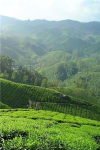 Tea Plantation Notebook