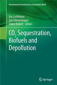 Co2 Sequestration, Biofuels and Depollution