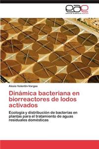 Dinámica bacteriana en biorreactores de lodos activados