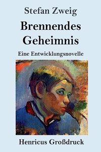 Brennendes Geheimnis (Großdruck)