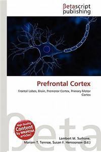 Prefrontal Cortex