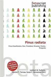 Pinus Radiata