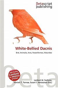 White-Bellied Dacnis