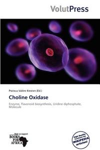 Choline Oxidase