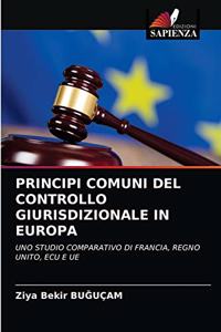 Principi Comuni del Controllo Giurisdizionale in Europa