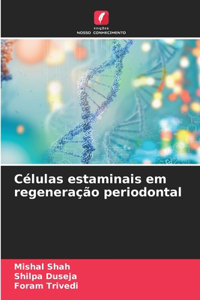 Células estaminais em regeneração periodontal