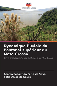 Dynamique fluviale du Pantanal supérieur du Mato Grosso